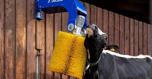 delaval borstel